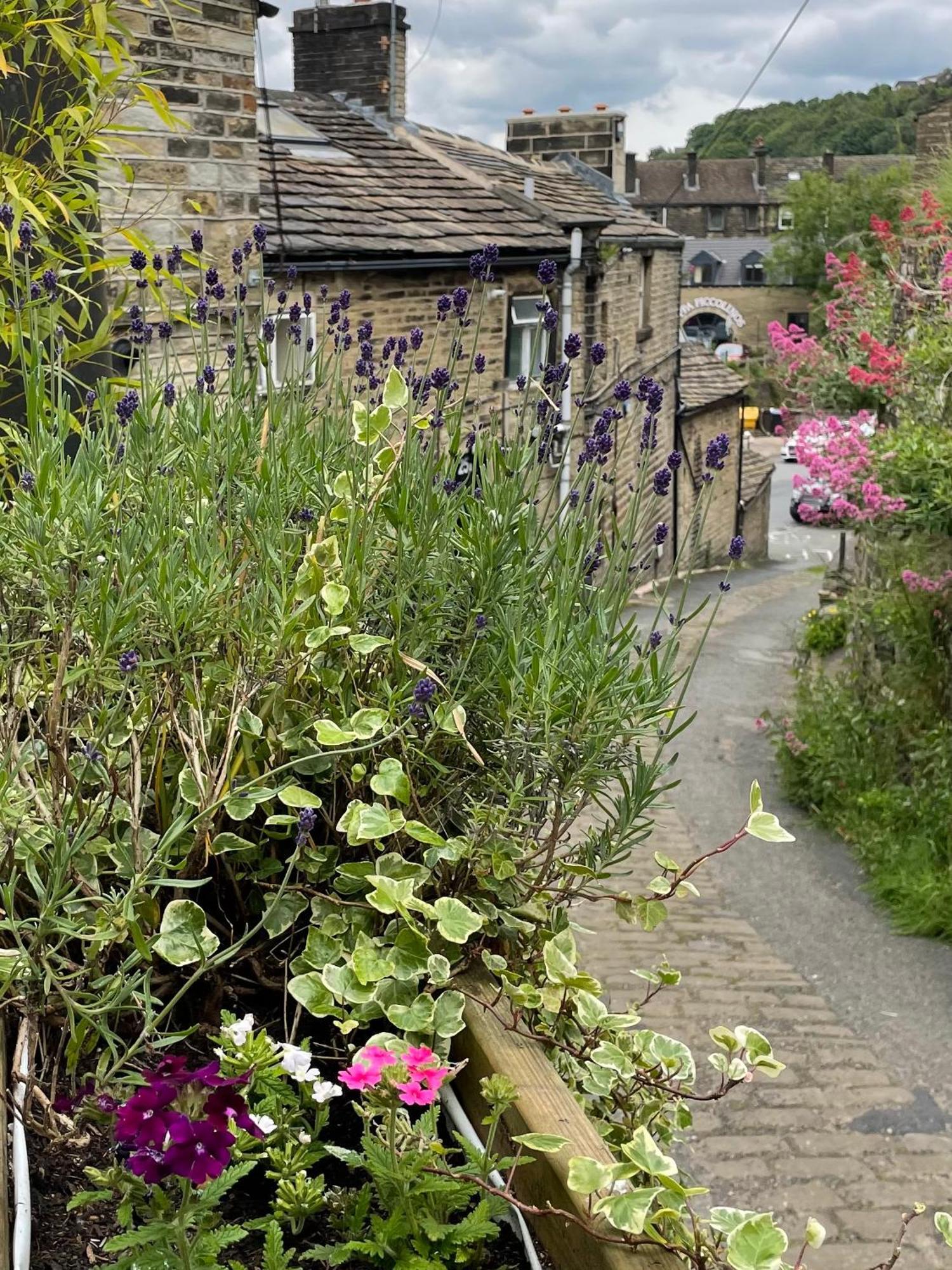 The Therapy Rooms Holmfirth Holiday Let Luaran gambar